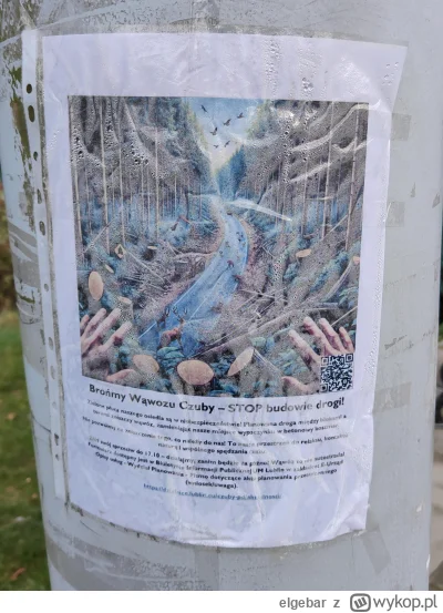 elgebar - #lublin 
 A drzew nie szkoda na plakaty. #pdk