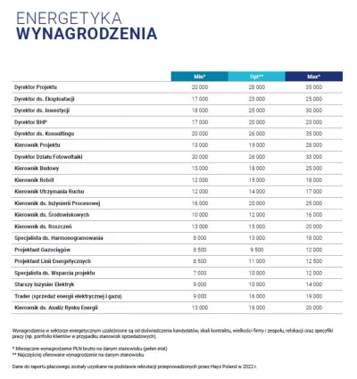 TeslaPrawdziwy - Czy to nowi kandydaci na programistów 15k w następnym cyklu gospodar...