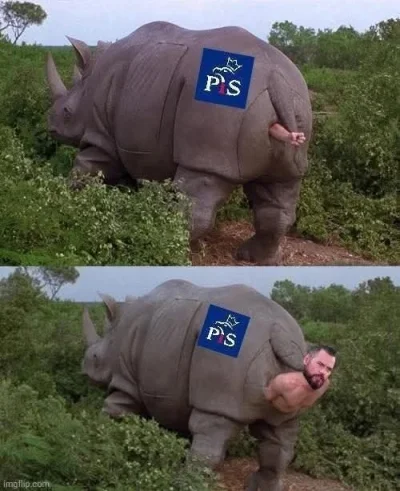 powrut_krula - #polityka #bekazpisu #bekazprawakow
jakbyście zapomnieli ( ͡º ͜ʖ͡º)