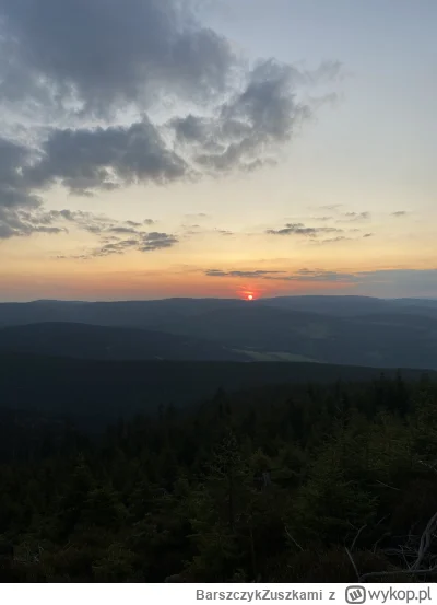 BarszczykZuszkami - @MockyPocky