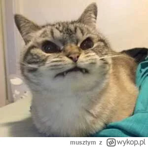 musztym - @Luca199491: