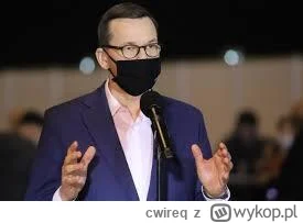 cwireq - @circle: AMATOR