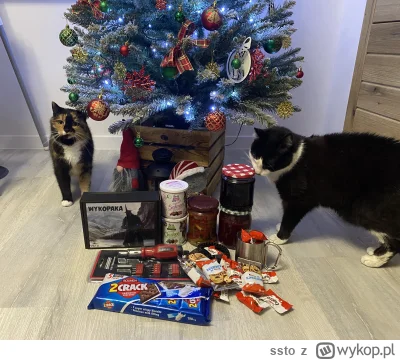 ssto - Dzięki mireczku za super paczkę. Wesołych świąt  i nic już więcej sobie nie ła...
