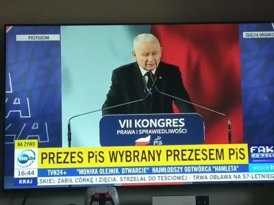 TomcioPalushek - Wow #bekazpisu #smiechuwarte