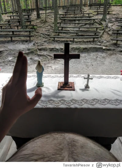 TavarishPiesov - Annuntio vobis kiszkum magnum:
*Habemus Papam!*
Eminentissimum ac re...