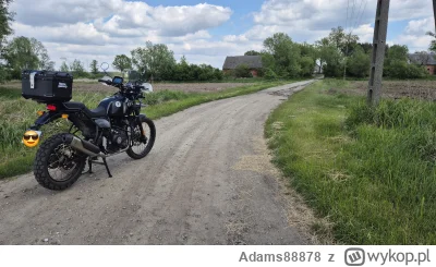 Adams88878 - @Adams88878: