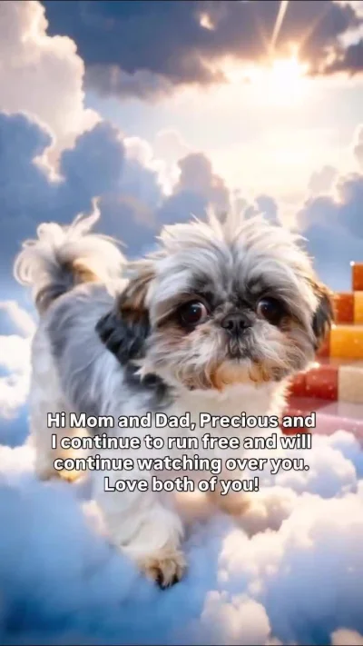 HorrorystycznyDemonPagona - Ale jestem peeezda, rozpłakałem się przy tym filmiku (╥﹏╥...