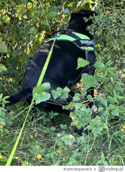 Kontrolnypodcir - @simpiara: