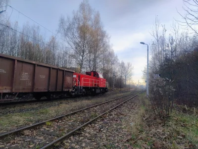 sylwke3100 - Tu zas Tusk wysłał Niemców (Deutsche Bahn) po nasz węgiel ( ͡º ͜ʖ͡º)