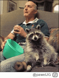 pawelJG - Stary: *Nie chce szopa*
Rodzina: *I tak bierze szopa*
Stary i szop po tygod...