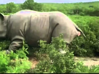 PawulonDlaStarych - @Ukiss: Ehhh, klasyka komedii lat 90.