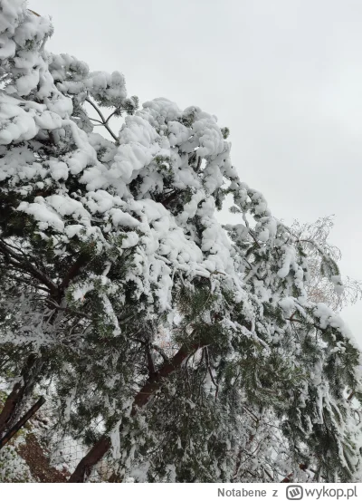 Notabene - Uwielbiam takie weekendy

#snieg #polska