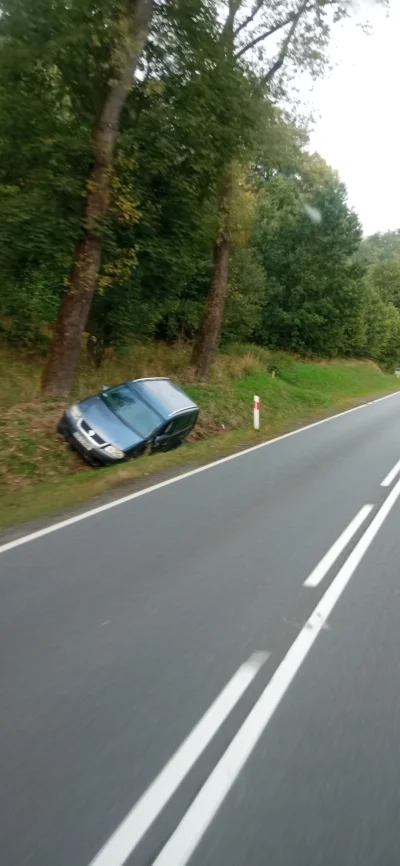 Smiejsiezzycia - Zdradzę wam sekret w jaki sposób dowiedzieć się czy w lesie są grzyb...