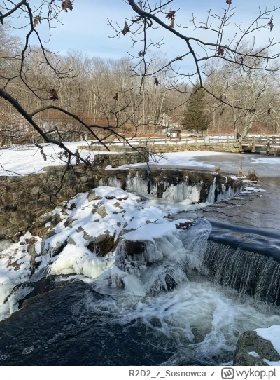 R2D2zSosnowca - @R2D2zSosnowca: ( ͡° ͜ʖ ͡°)