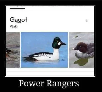 MichalCoSieWPorySkichal - #przegryw