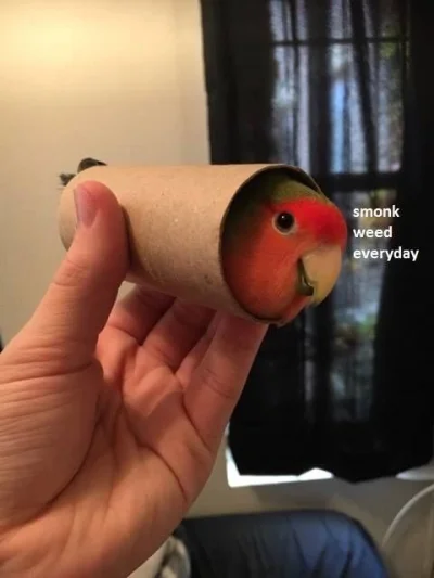 wfyokyga - Się jara dziewczyno się jara chłopaku
To czysta Marycha bez odoru maku