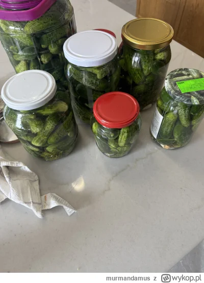 murmandamus - #kiszonki #kiszone #kiszoneogorki 

Kolejna partia zrobiona.