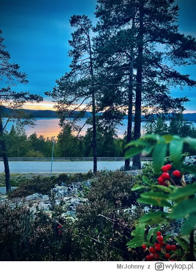 MrJohnny - @MrJohnny