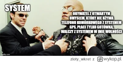 zloty_wkret - #matrix