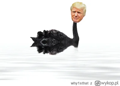 why1sthat - #kryptowaluty #bitcoin