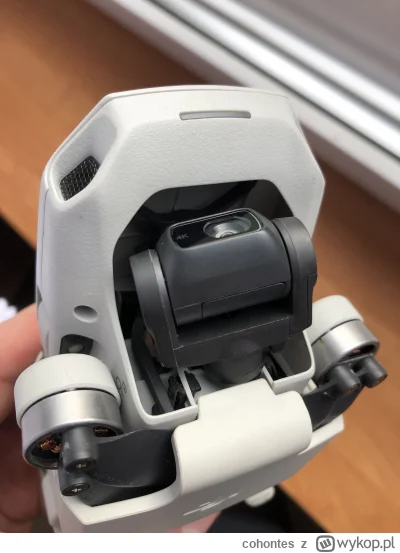 c.....s - @cohontes: drugi