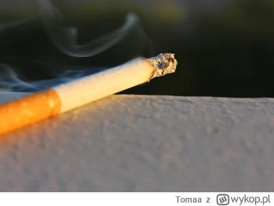 Tomaa - Życie jest jak papieros. Powoli się wypala...
#przemyslenia #filozofia #przeg...