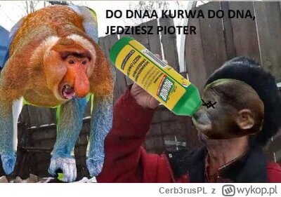 Cerb3rusPL - #konkursnanajbardziejgownianymemznosaczem