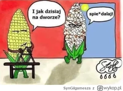 SynGilgamesza - #grazynacore #heheszki #humorobrazkowy ##!$%@? ##!$%@?