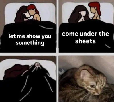 FreakingAwesome - Kitty