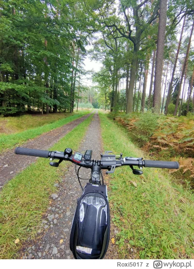 Roxi5017 - 743 257 + 46 = 743 303



#rowerowyrownik #rower #roweron

Skrypt | Statys...