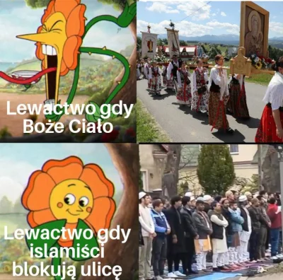 Dewator96 - #polityka #konfederacja