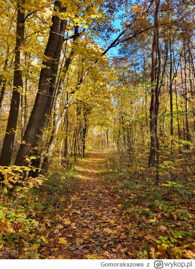 Gomorakazowa - @Gomorakazowa