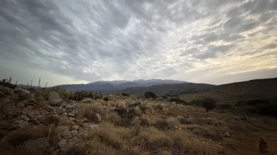 asdfghjkl - Dodatkowy