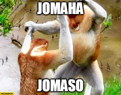 ChochlikLucek - Kiedy widzisz jak ICE przyjeżdża po tego somsiada-złodzieja ( ͡° ͜ʖ ͡...