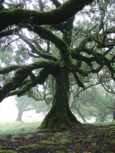 PorkaTurbo - @PorkaTurbo: