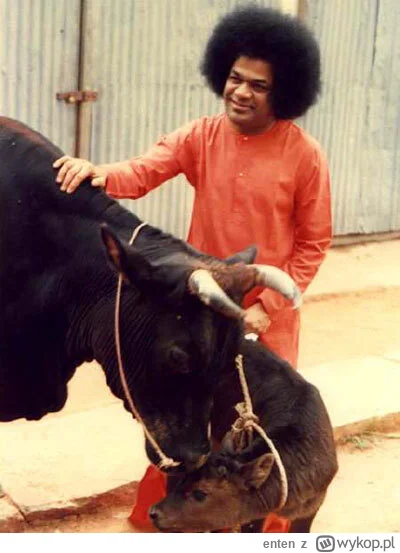 enten - @tralala101: legancko, ja mam już swój ekspres do porannej dwój... znaczy kaw...