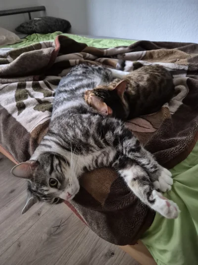 Lujdziarski - @xyz_xyz Jeszcze leżą xD