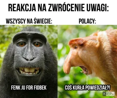 Szkieletor997 - @czadowykuba: