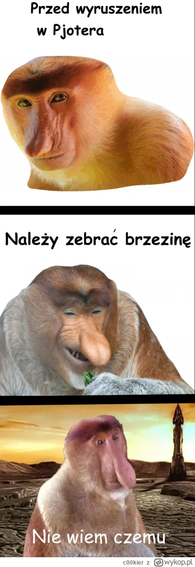 c00kier - #konkursnanajbardziejgownianymemznosaczem