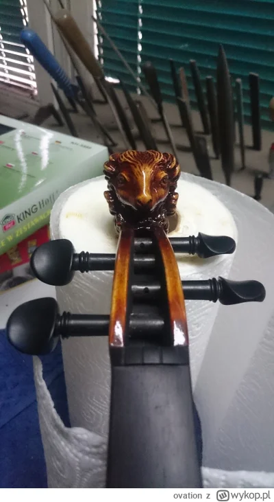 ovation - A tu baran polakierowany :)