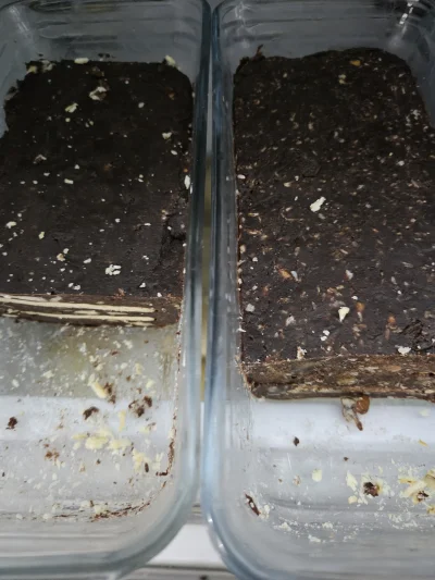 penkroff - #przegryw zrobiłem blok czekoladowy i nie wiem czy dotrwa do jutra