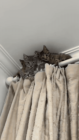 jestemtakizmeczony - hehe, kotara ( ͡° ͜ʖ ͡°)