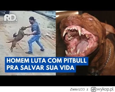 Zwierz33 - Ładnie sobie poradzil z pieskiem bez broni.
Myślałem początkowo, że udusi...