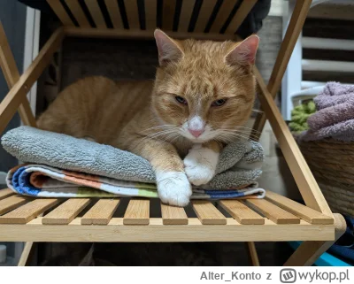 Alter_Konto - @Kotouak