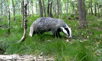 PanNemo - #dziendobry wykop

Przychodzę do was w ten piękny poniedziałkowy poranek z ...