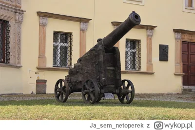 Jasemnetoperek - @antekwpodrozy: jeszcze mamy armatę, którą ponoć zgubił Napoleon. Du...
