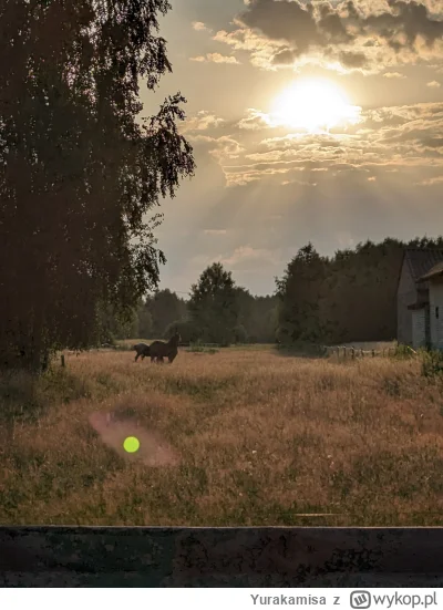 Yurakamisa - 441 335 + 45 = 441 380

Wycieczka na kebaba ( ͡° ʖ̯ ͡°)

#rowerowyrownik...