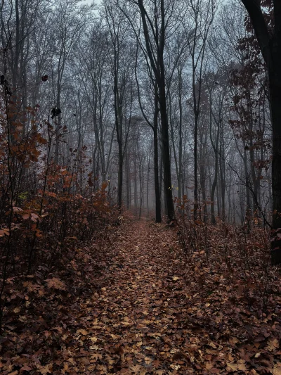 na_gertycha - @wilqu88 lub takie