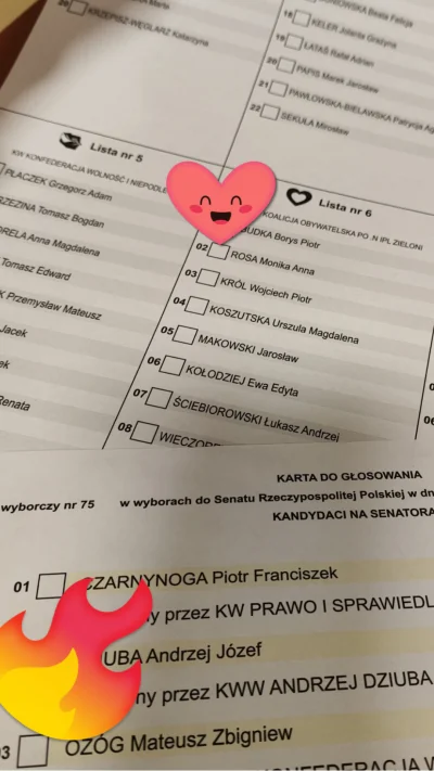 runnerrunner - Można wrzucić kartę do głosowania na swojego Facebooka? 
Z zakrytymi z...