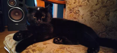 pejotlsd - Ruska onuca mi się w domu zalęgła ( ͡º ͜ʖ͡º)

SPOILER